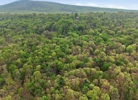 355 Hemlock Ct., Paw Paw, WV  25434