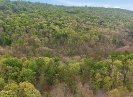 355 Hemlock Ct., Paw Paw, WV  25434