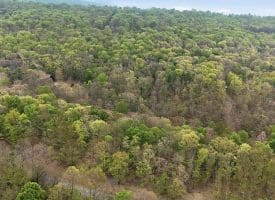 355 Hemlock Ct., Paw Paw, WV  25434