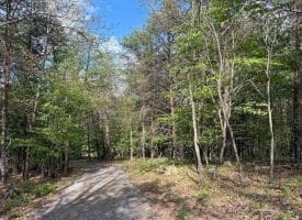 Green Ridge Dr., Green Spring, WV  26722