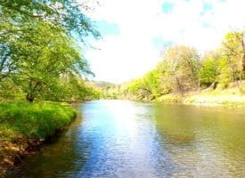 Lot 120 Crossings @ Cacapon, Paw Paw, WV  25434