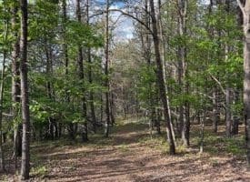 Green Ridge Dr., Green Spring, WV  26722