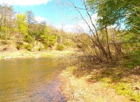 Lot 120 Crossings @ Cacapon, Paw Paw, WV  25434