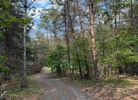 Green Ridge Dr., Green Spring, WV  26722