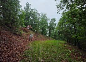 LOT 37 BOBCAT HOLLOW, ROMNEY, WV