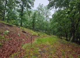 LOT 37 BOBCAT HOLLOW, ROMNEY, WV