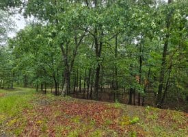 LOT 37 BOBCAT HOLLOW, ROMNEY, WV