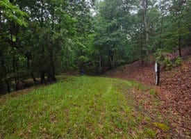 LOT 37 BOBCAT HOLLOW, ROMNEY, WV