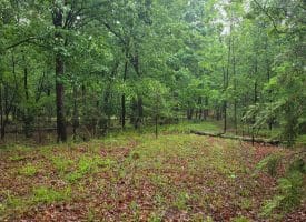 LOT 37 BOBCAT HOLLOW, ROMNEY, WV