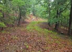LOT 37 BOBCAT HOLLOW, ROMNEY, WV