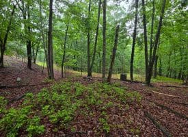 LOT 37 BOBCAT HOLLOW, ROMNEY, WV