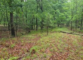 LOT 37 BOBCAT HOLLOW, ROMNEY, WV