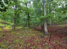 LOT 37 BOBCAT HOLLOW, ROMNEY, WV