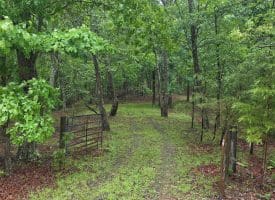 LOT 37 BOBCAT HOLLOW, ROMNEY, WV