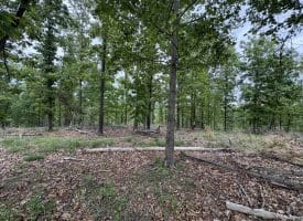 40.15 Ac Middle Ridge Road, Romney, WV 26757
