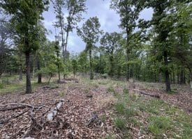 40.15 Ac Middle Ridge Road, Romney, WV 26757