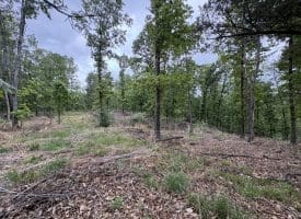 40.15 Ac Middle Ridge Road, Romney, WV 26757