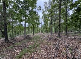 40.15 Ac Middle Ridge Road, Romney, WV 26757