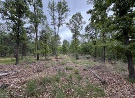 40.15 Ac Middle Ridge Road, Romney, WV 26757