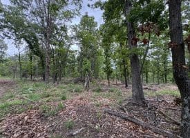 40.15 Ac Middle Ridge Road, Romney, WV 26757