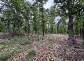 40.15 Ac Middle Ridge Road, Romney, WV 26757