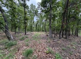 40.15 Ac Middle Ridge Road, Romney, WV 26757