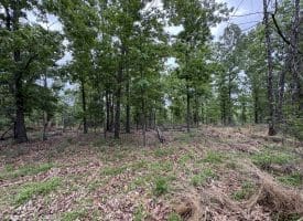 40.15 Ac Middle Ridge Road, Romney, WV 26757