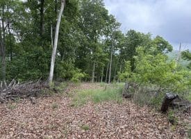 40.15 Ac Middle Ridge Road, Romney, WV 26757