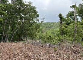 40.15 Ac Middle Ridge Road, Romney, WV 26757