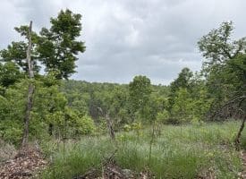 40.15 Ac Middle Ridge Road, Romney, WV 26757