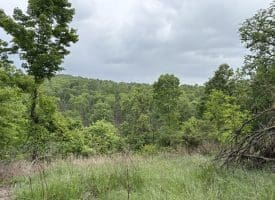 40.15 Ac Middle Ridge Road, Romney, WV 26757