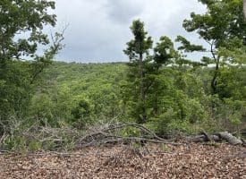 40.15 Ac Middle Ridge Road, Romney, WV 26757