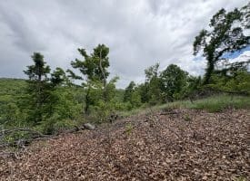 40.15 Ac Middle Ridge Road, Romney, WV 26757