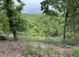 40.15 Ac Middle Ridge Road, Romney, WV 26757