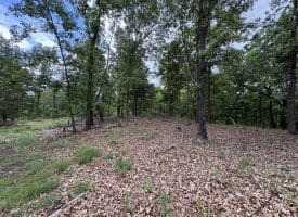 40.15 Ac Middle Ridge Road, Romney, WV 26757