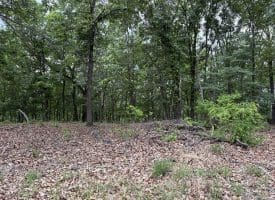 40.15 Ac Middle Ridge Road, Romney, WV 26757