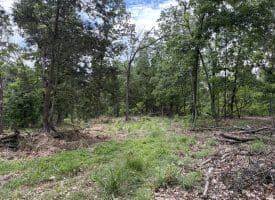 40.15 Ac Middle Ridge Road, Romney, WV 26757