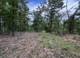 40.15 Ac Middle Ridge Road, Romney, WV 26757