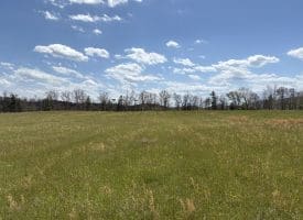8.25 Ac Walnut Tree Lane, Paw Paw, WV 25434