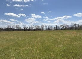8.25 Ac Walnut Tree Lane, Paw Paw, WV 25434