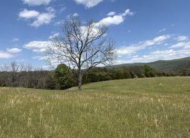 8.25 Ac Walnut Tree Lane, Paw Paw, WV 25434