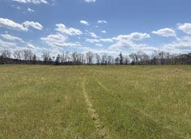 8.25 Ac Walnut Tree Lane, Paw Paw, WV 25434