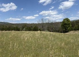 8.25 Ac Walnut Tree Lane, Paw Paw, WV 25434