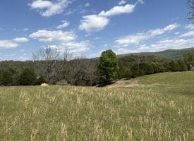 8.25 Ac Walnut Tree Lane, Paw Paw, WV 25434