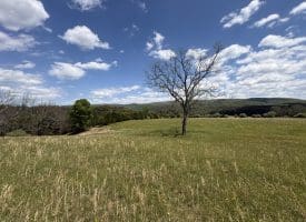 8.25 Ac Walnut Tree Lane, Paw Paw, WV 25434