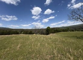8.25 Ac Walnut Tree Lane, Paw Paw, WV 25434