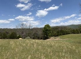 8.25 Ac Walnut Tree Lane, Paw Paw, WV 25434