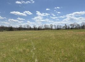 8.25 Ac Walnut Tree Lane, Paw Paw, WV 25434