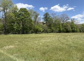 8.25 Ac Walnut Tree Lane, Paw Paw, WV 25434