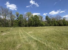 8.25 Ac Walnut Tree Lane, Paw Paw, WV 25434